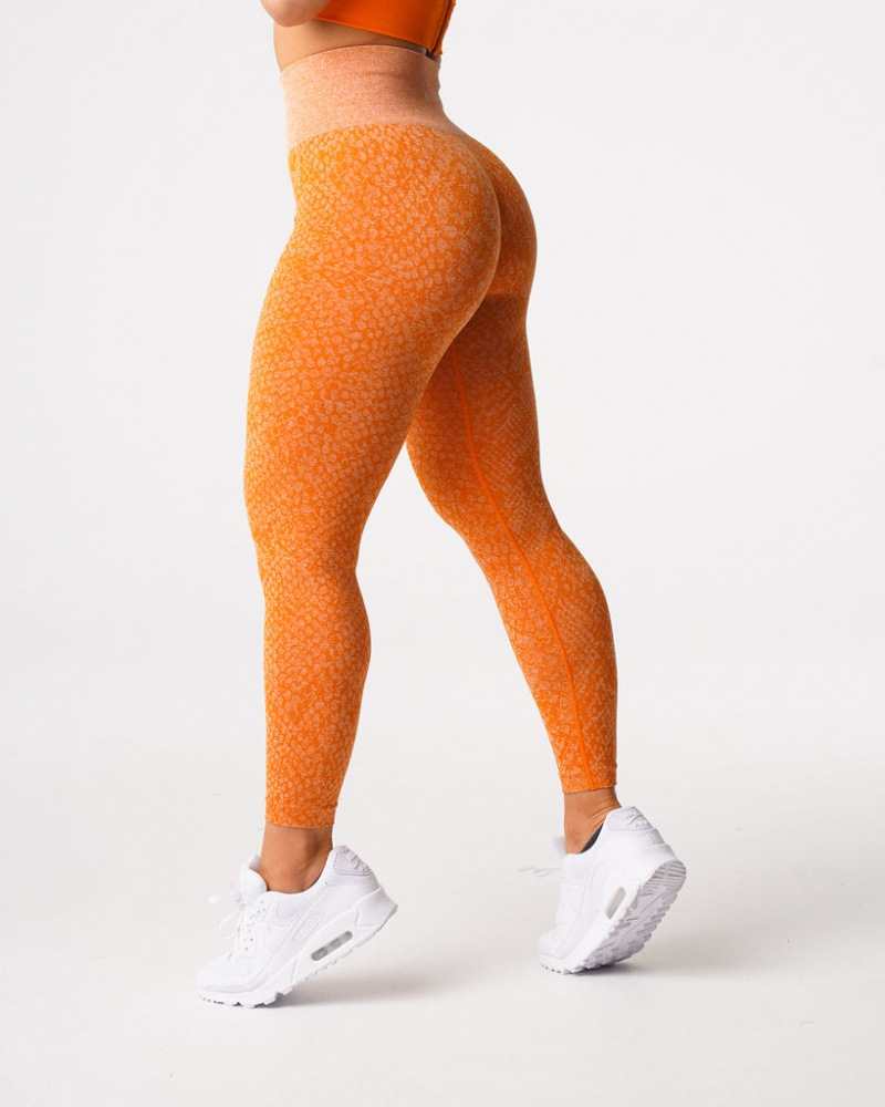 Women's NVGTN Zebra Seamless Leggings Orange | ORGZ-98276